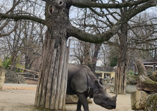 12_ZOO